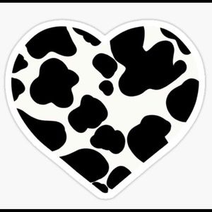 Meet your Posher, Stevee